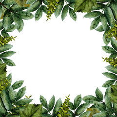 Naklejka premium Natural square frame of green and dry fern leaves isolated on white background. Watercolor composition in realistic style, hand drawn for invitations, decor, wedding, anniversary.