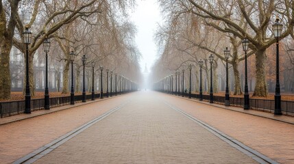 Obraz premium Serene Foggy Pathway in Autumn Landscape