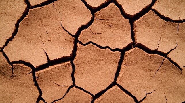 close-up of dry cracked earth with intersting patterns and textures.