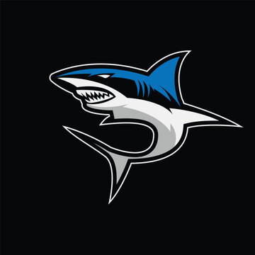 shark logo vector illustration on white background