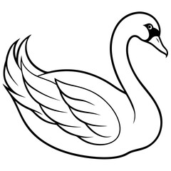 Fototapeta premium Swan