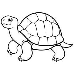 Tortoise