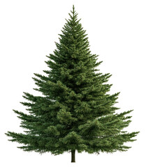 Obraz premium PNG A Christmas tree decoration christmas pine.
