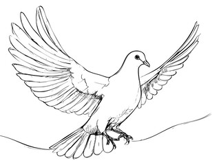 Fototapeta premium A drawn white dove