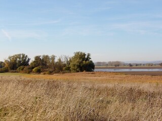 Obraz premium Der Stausee von Berga Kelbra - ein sonniger Tag im Herbst, eine Wanderung entlang der Osterkuppe, der Numburg, bunten Laub, Hagebutten und Schilf