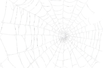 Obraz premium PNG An abstract spider web pattern illustration background design.