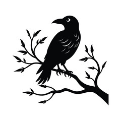 Fototapeta premium Halloween Raven on Branch vector silhouette with white background