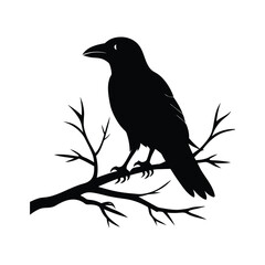 Halloween Raven on Branch vector silhouette with white background