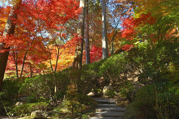 紅葉期の大興善寺「契園」