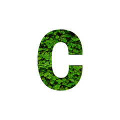 3d green grass font isolated on white