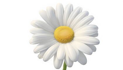 3D Full-Frame White Daisy