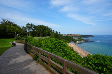 Obraz premium seaside walkway and fine sea