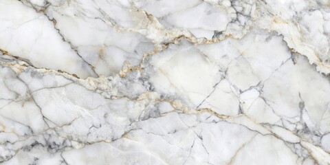 Fototapeta premium Abstract White Marble Texture with Delicate Veins of Gold and Grey
