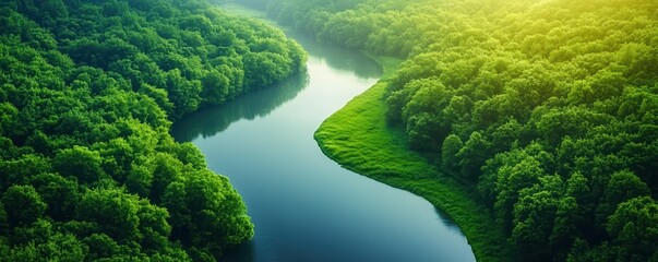 A serene river meanders through lush green forests, illuminated by soft sunlight, creating a tranquil natural landscape.