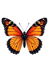 Fototapeta premium butterfly isolated on white