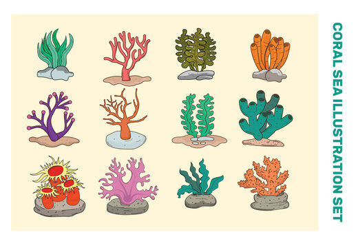 Coral Sea Illustration Vector Set