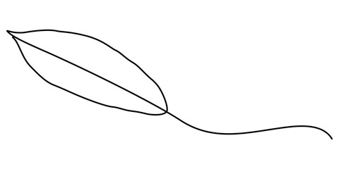 Cocoa bean leaf continuous one line drawing sketch illustration, Single continuous line drawing of whole healthy organic cocoa bean for plantation logo identity. Fresh cacao concept for chocolate shop