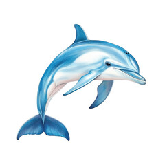 Obraz premium A dolphin isolate on white background, showing its streamlined body and smooth skin. PNG