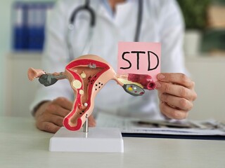 Gynecologist discusses sexually transmitted diseases using an anatomical model of the uterus....