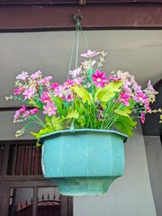 pink flowers in a window