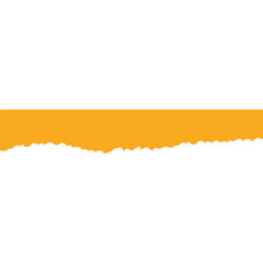 Ripped and Torn Paper