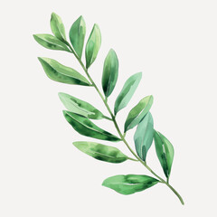 Obraz premium Watercolor green botanical leaf