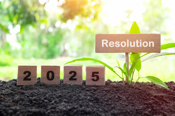 New year 2025 life goal, resolution and priorities concept. Wooden blocks in natural morning...