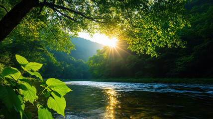 Fototapeta premium A beautiful river with a tree in the background. The sun is shining on the water, creating a peaceful and serene atmosphere
