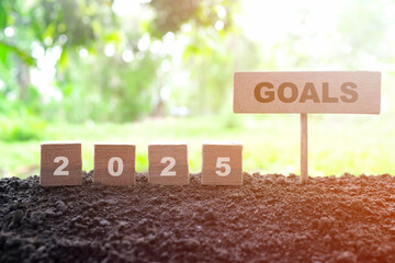 New year 2025 life goal, resolution and priorities concept. Wooden blocks in natural morning sunrise background.