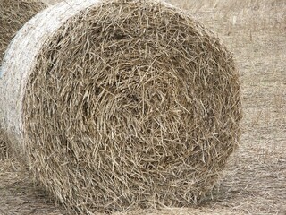 bale of hay