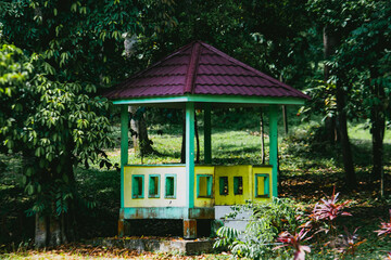 old house in the woods