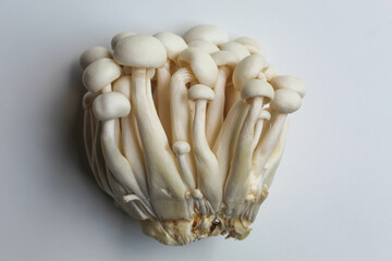 One cluster of bunapi shimeji, or white beech, or white clamshell mushroom, isolated on white background