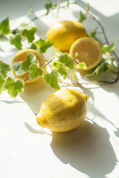 Fresh lemons and green leaves in sunlight
