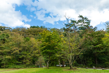 (長野県-風景)秋に近づく軽井沢の森林と青空