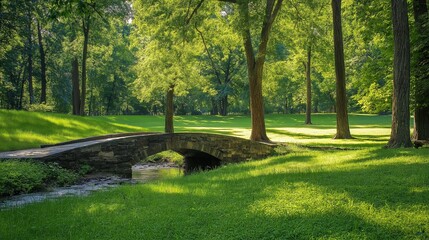 Obraz premium nice theme landscape picture