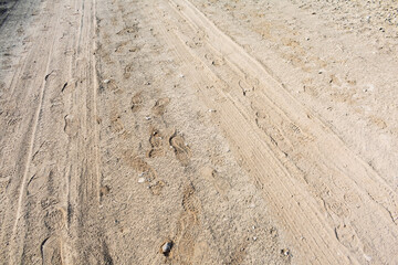 A dusty trail shows multiple footprints and vehicle tracks