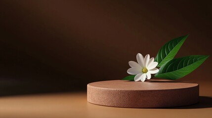 Fototapeta premium 2410 42.A round podium is the focal point, with a single white flower and green leaf placed at its base. The earthy brown background adds warmth and depth, drawing attention to the natural elements