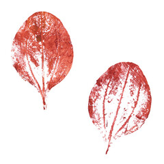 Real tree and grass leaves paint prints. Perfect for autumn, fall decoration, children's creativity, visual aid. Hand drawn botanical imprints. Grunge texture, old paint, rough brush. 