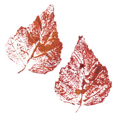 Real tree and grass leaves paint prints. Perfect for autumn, fall decoration, children's creativity, visual aid. Hand drawn botanical imprints. Grunge texture, old paint, rough brush. 