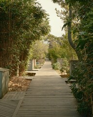 A boardwalk path on Fire Island, New York