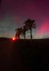 aurora with trees in the distance and a car coming