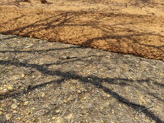 The texture of dry muddy soil is light brown in color