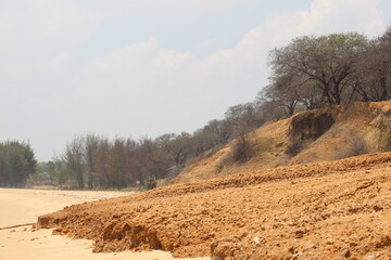 The texture of dry muddy soil is light brown in color