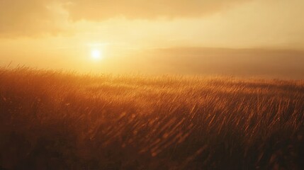Naklejka premium Serene Meadow Landscape at Sunset