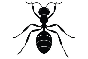 illustration of a wasp