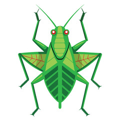 green grasshopper isolated on white