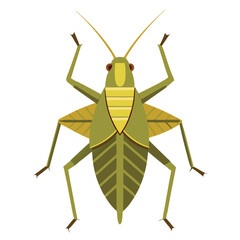 locust isolated