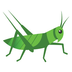 Creative Grasshopper Logo Design for Branding and Nature Themes