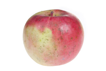 Apples on a white background