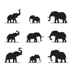 Obraz premium Collection of Elephant silhouette vector
